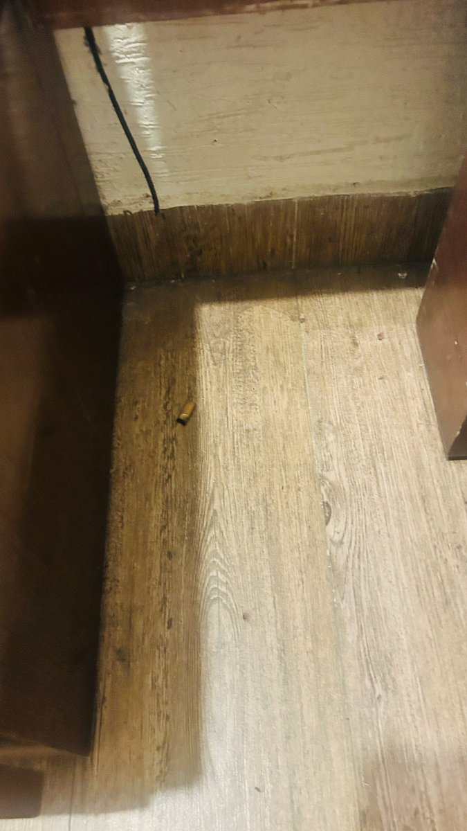 rajuswamydorai's tweet image. Poor experience at OYO Townhouse

No cleanliness, poor maintenance
❌ AC not working
❌ Geyser not working

Unacceptable! Fix this ASAP.

@oyorooms @OYO4U

#OYO #Bangalore #PoorService
