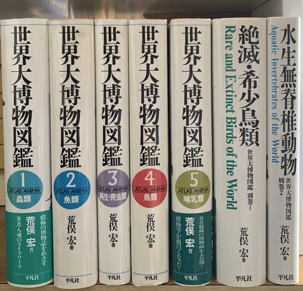 古書 らせん堂 tweet media