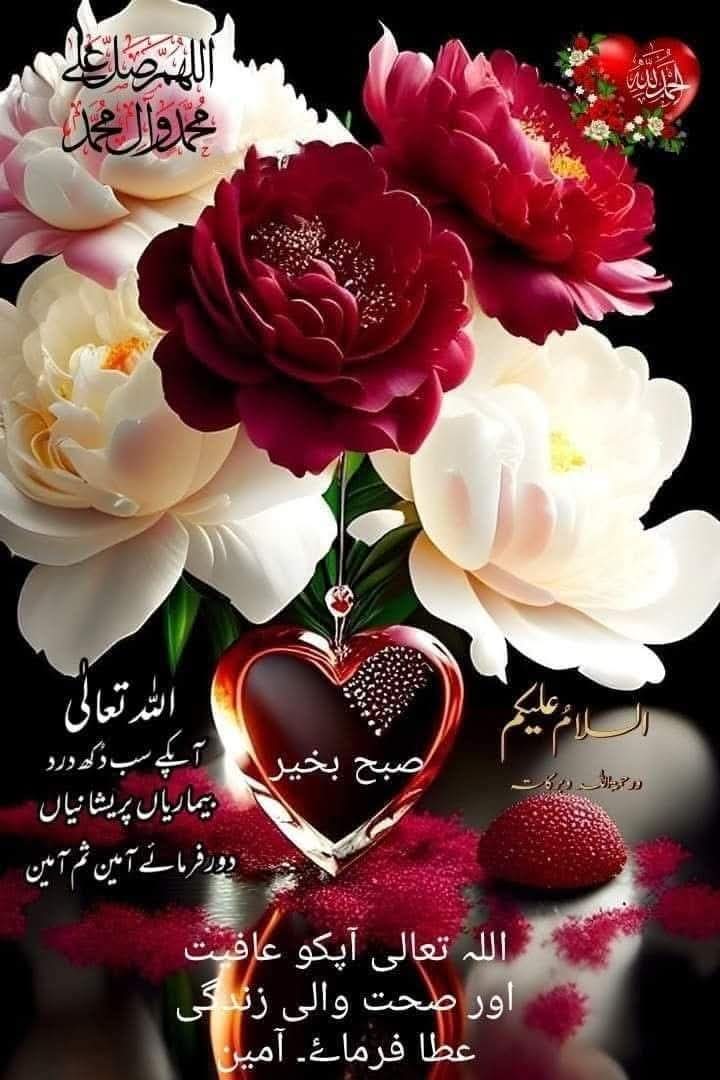 noorislam tweet media