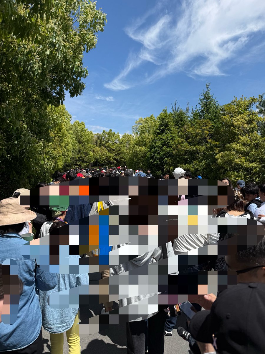 しのりっコ🍋🐱 tweet media