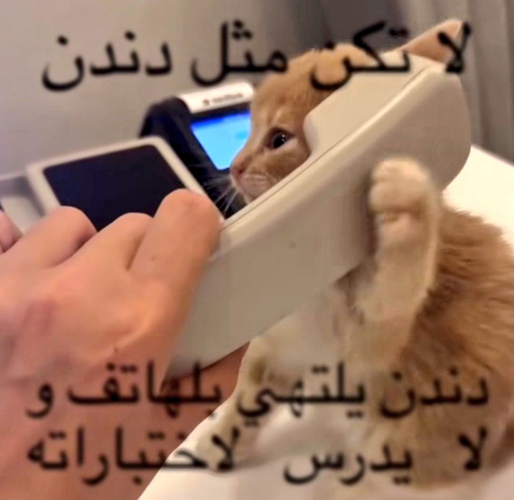 𝗕𝗹𝘂𝗰𝗰𝗼𝗹𝗼 | علي tweet media