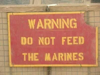 Hey Marine! tweet media