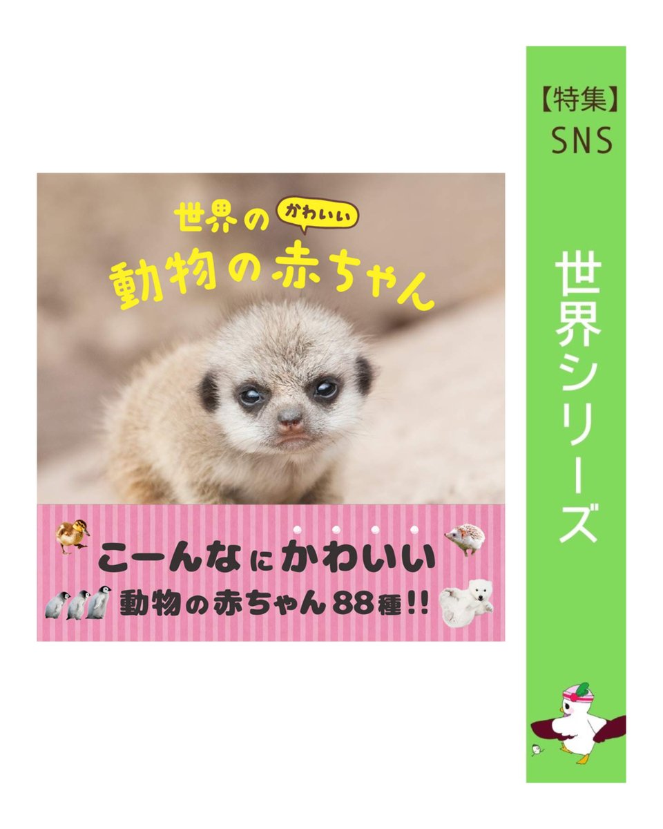 hannan_lib's tweet photo. 【特集】SNS「#世界シリーズ」 
👶無条件にかわいい赤ちゃん🐣
🐱なごんでください🐕
『世界のかわいい動物の赤ちゃん』
パイインターナショナル∥編著　大渕希郷∥監修執筆　パイインターナショナル
＃阪南 #図書館 https://t.co/5GxysOkjco