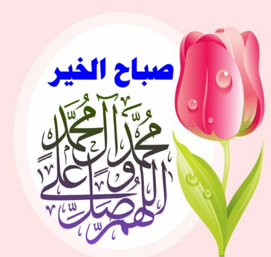 🦋🕊️❤️🇰🇼كويتاويه 🇰🇼 tweet media