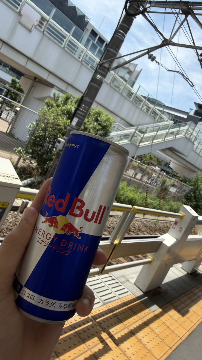 Gren︎✿ tweet media
