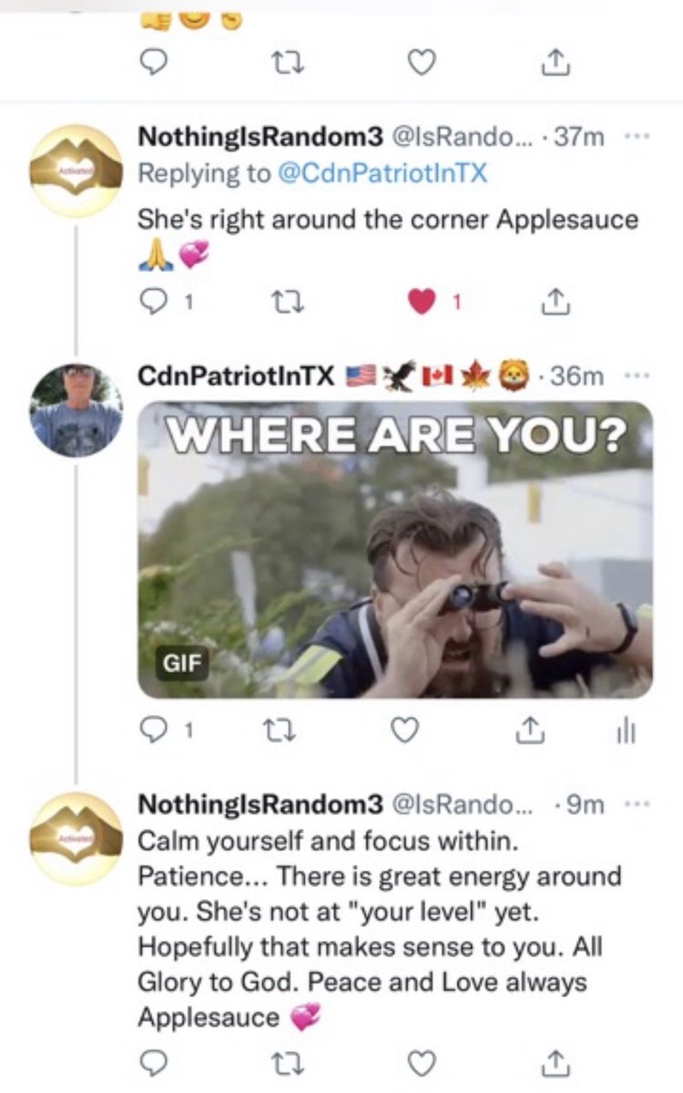 just Chris D. Bell 🇨🇦🦁🇺🇸🦭 🗽🔔❤️‍🔥 tweet media