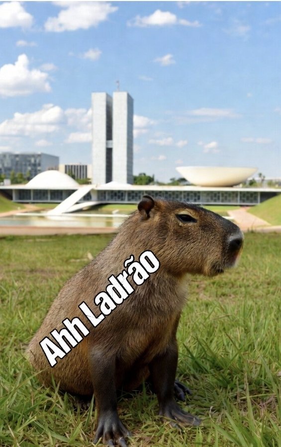 Todo o Poder Emana do Povo! ART 1° Parágrafo Único tweet media