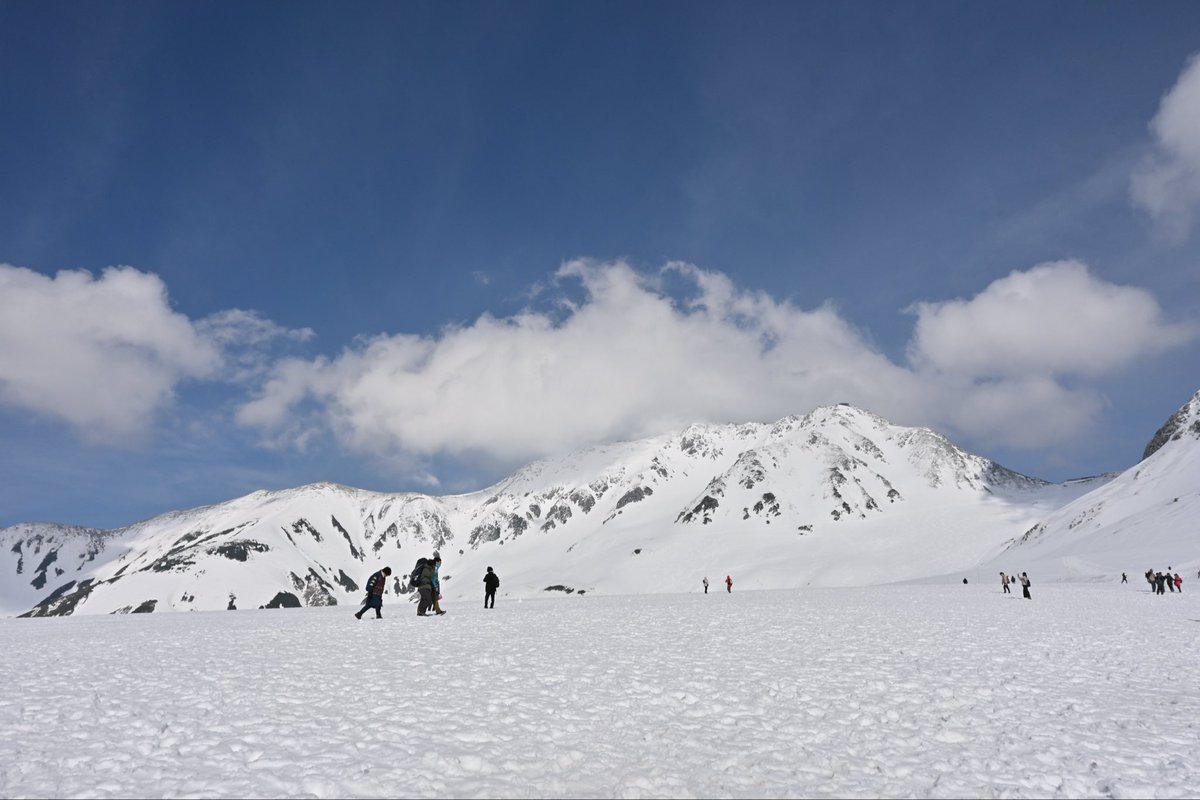 Kyo1123t's tweet photo. 2026.5.2〜3 春の立山 

ただただ
白い雷鳥に会いに立山へ。

雷鳥荘にも泊まり、温泉♨️三昧。

雪の大谷や雪の回廊も満喫。
ホテル立山で水出し珈琲とチーズケーキもいただき、大満足！

別のチームは三山縦走へ行きましたが、
たまには、ピークは目指さず
まったりするのもいい😌👍
来年はね🏔️ https://t.co/o6pfQaWt7d