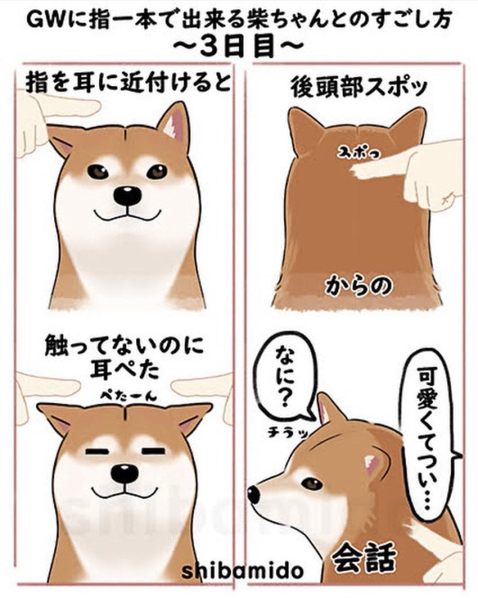 柴三堂@柴犬絵描き人 tweet media