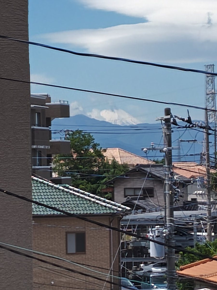 しらぴょん tweet media