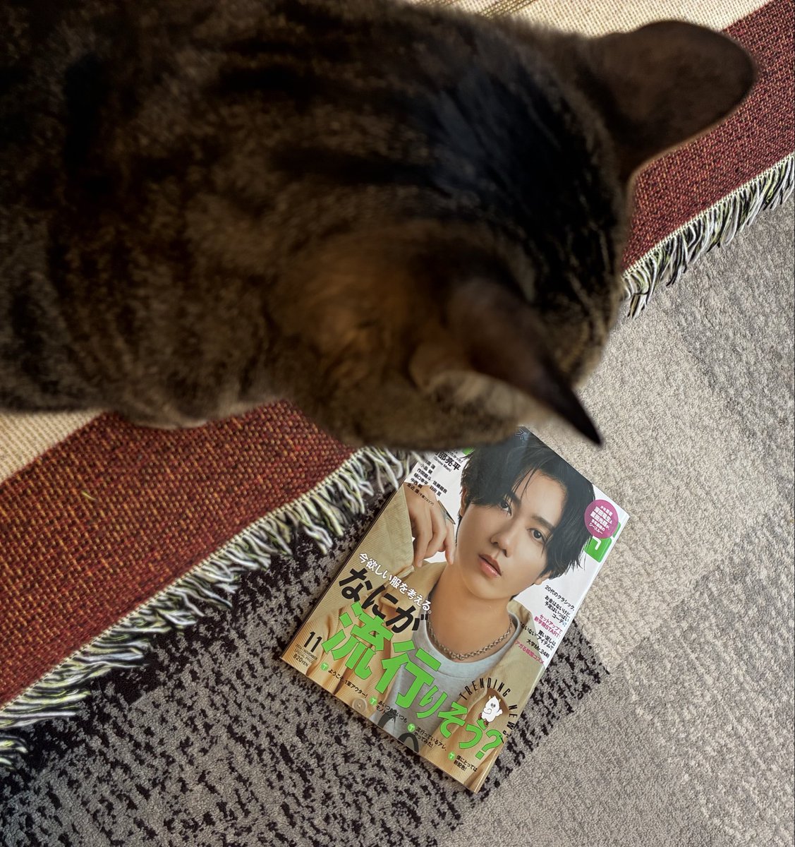 mint_snow0721's tweet image. 2024年のFINE BOYSのあべちゃんを見直ししました🤭💚📗
ホントにFINE BOYSさんの愛たっぷりだし、インタビューはあべちゃん謙虚で優しいくてあべちゃんらしさ満載✨
インタビューページのボリュームすごい👍
そしてカジュアルコーデのあべちゃんかわいすぎ😍5/9楽しみすぎる💓
#FINEBOYS
#阿部亮平