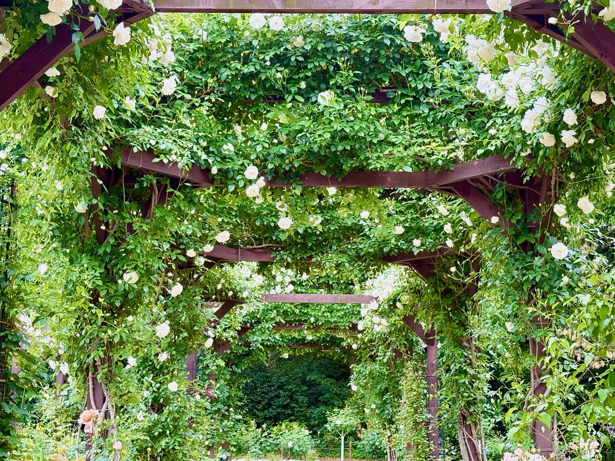 長居植物園 tweet media