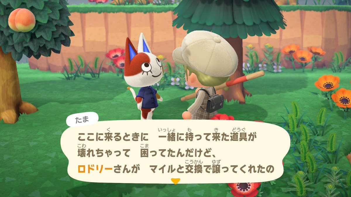 ちびねこ🐈️ tweet media