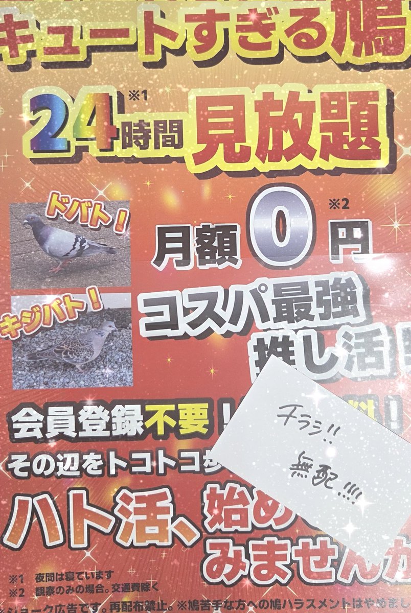 ヤシ🌴 tweet media