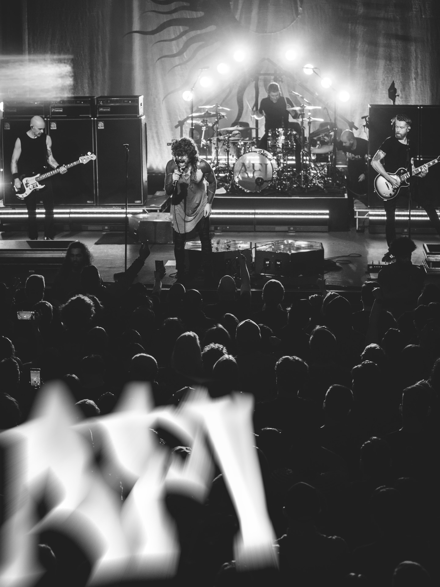 AFI tweet media
