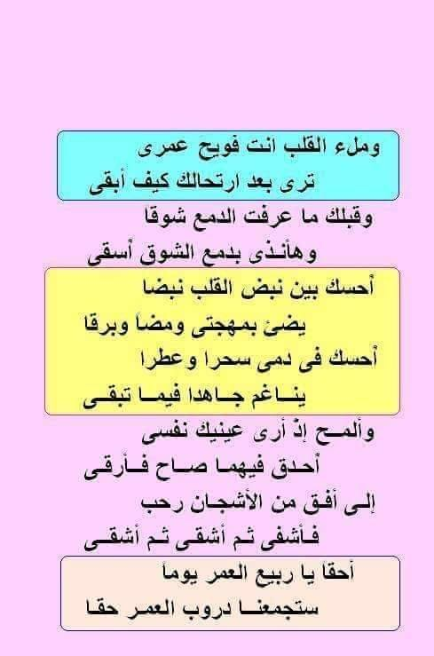 بَقايا الظِّلِّ مِنْ رَكْبٍ رَحَل tweet media