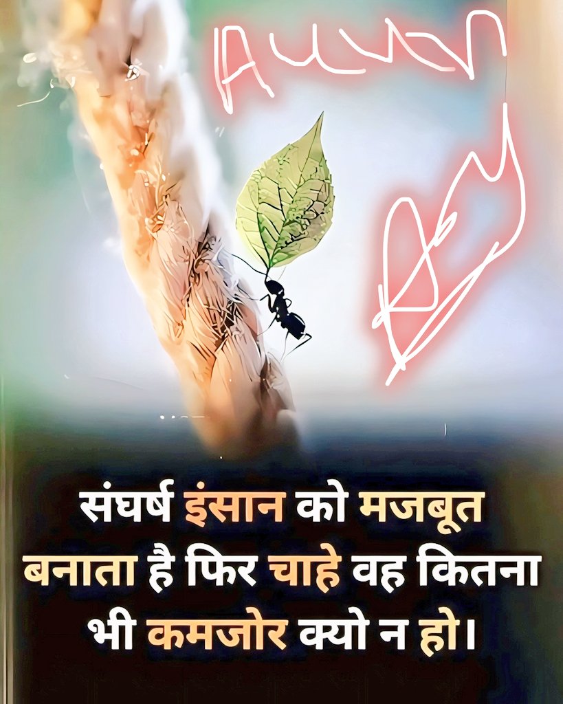 𝔸𝕟𝕟𝕦 🐦 tweet media