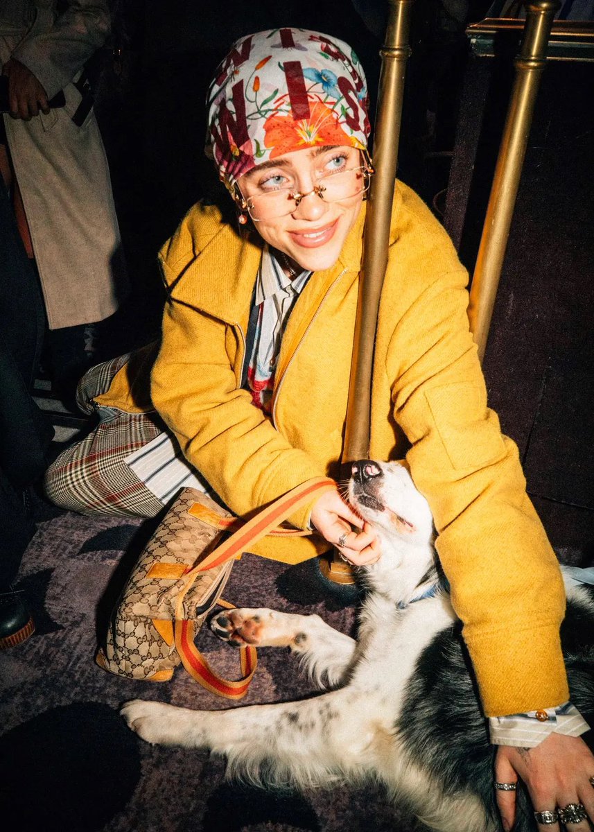 Billie Eilish Brasil tweet media