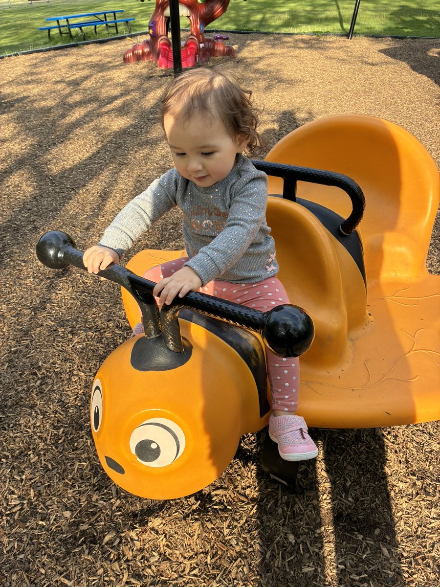 MrMarketingPhD's tweet image. We had a fun time exploring some parks back home with Akari. I think she liked going for a ride around Linden Pointe &amp;amp; checking out the playgrounds at Buhl Park. She seemed to enjoy the pizza party at the end of the night with mommy, daddy, nana, &amp;amp; grandpa. 🛝👶🍕🌲🌳 #FamilyTime