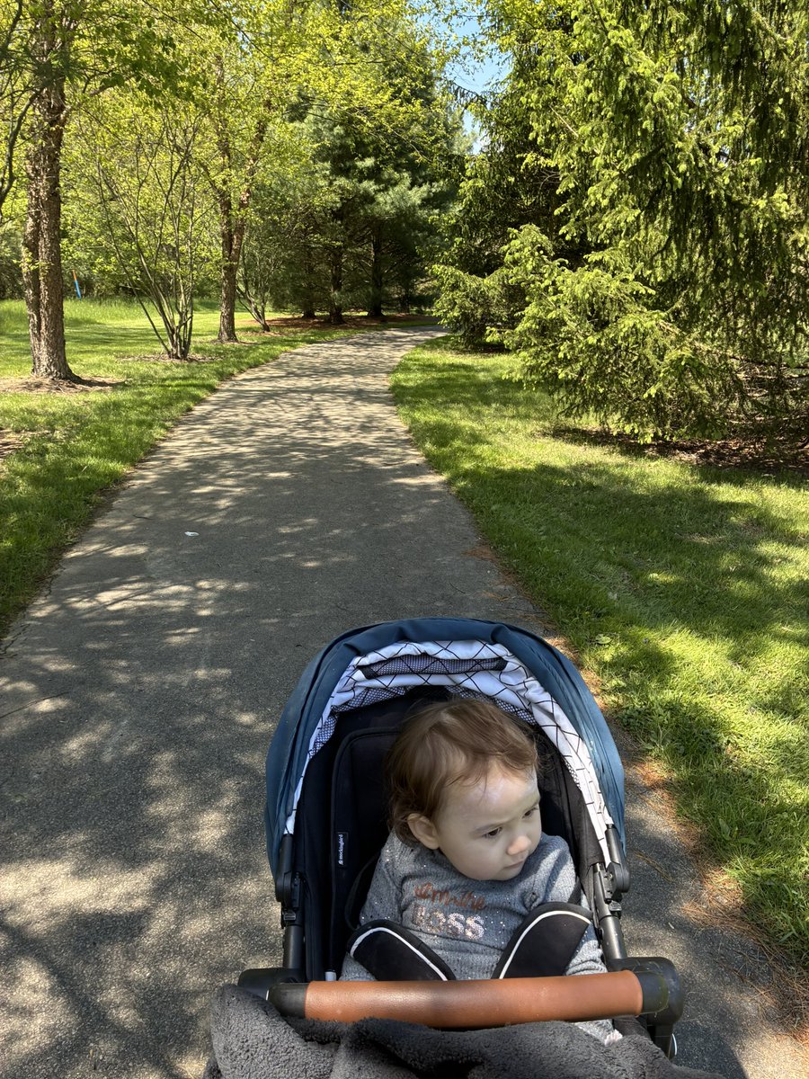 MrMarketingPhD's tweet image. We had a fun time exploring some parks back home with Akari. I think she liked going for a ride around Linden Pointe &amp;amp; checking out the playgrounds at Buhl Park. She seemed to enjoy the pizza party at the end of the night with mommy, daddy, nana, &amp;amp; grandpa. 🛝👶🍕🌲🌳 #FamilyTime