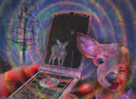 Deer in Places they Shouldn't Be tweet media