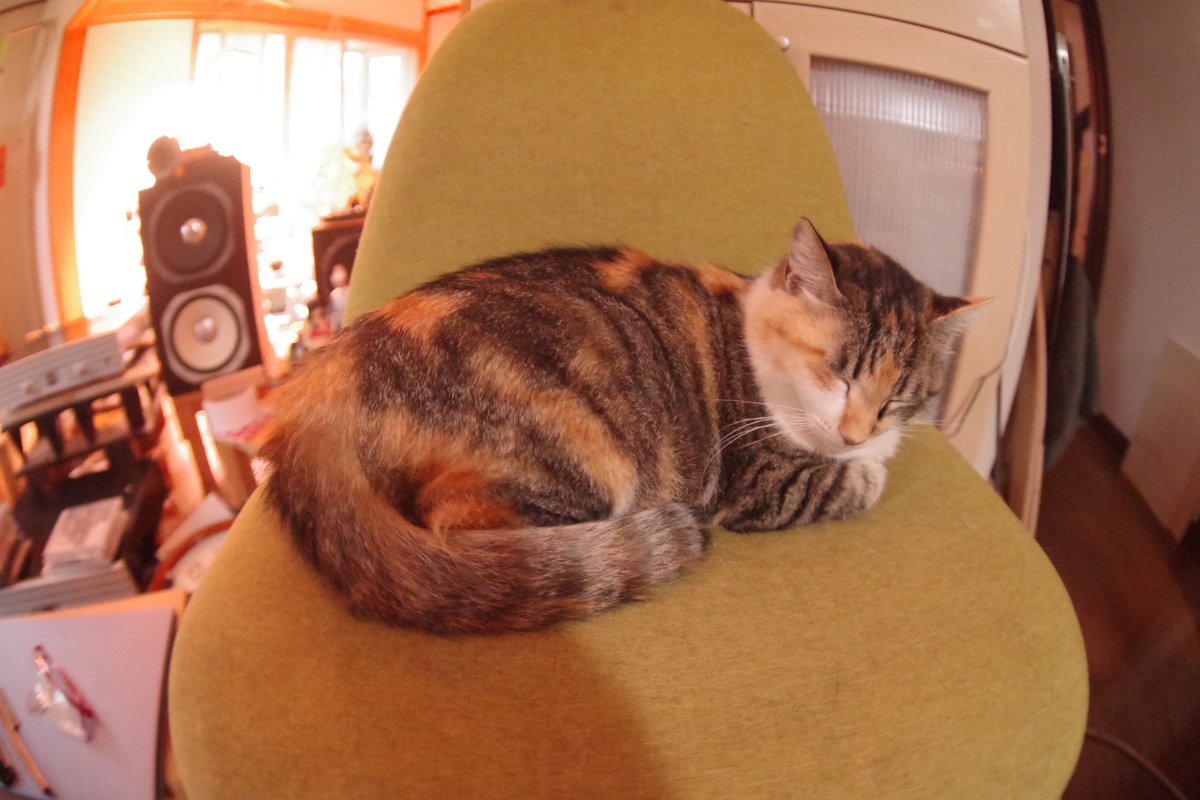 ｎａｏｓａｎ tweet media
