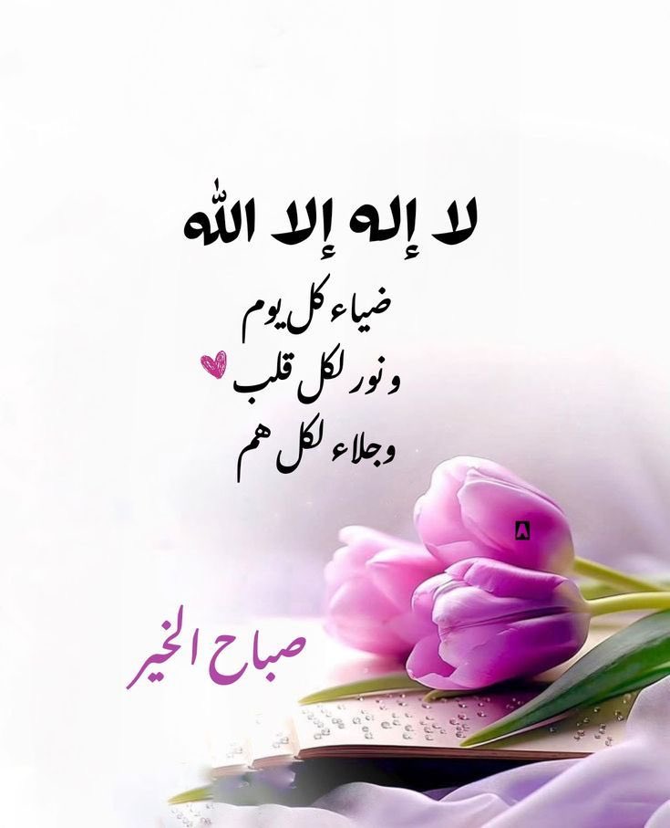 Al hamri🇸🇦 tweet media