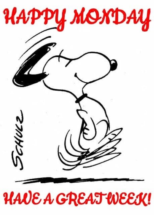 snoopy and friends tweet media