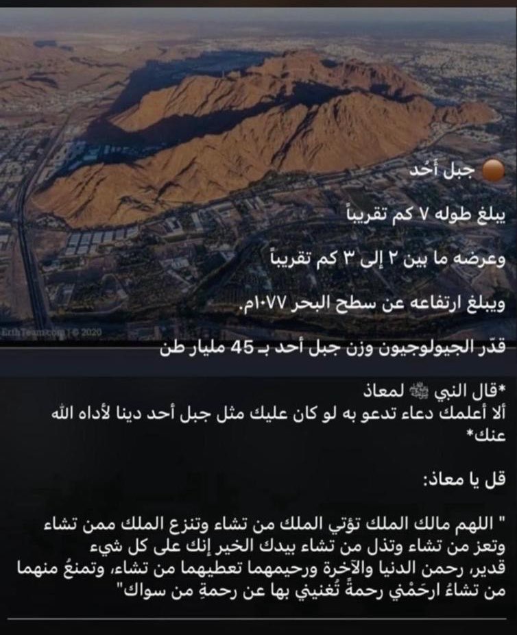 المشاريع الناجحة tweet media