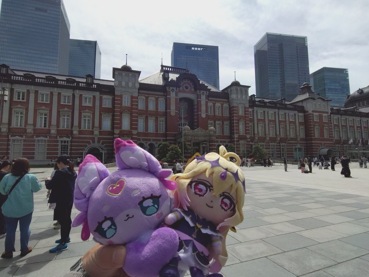 ✨️🐱キジ白🐾✨️ tweet media