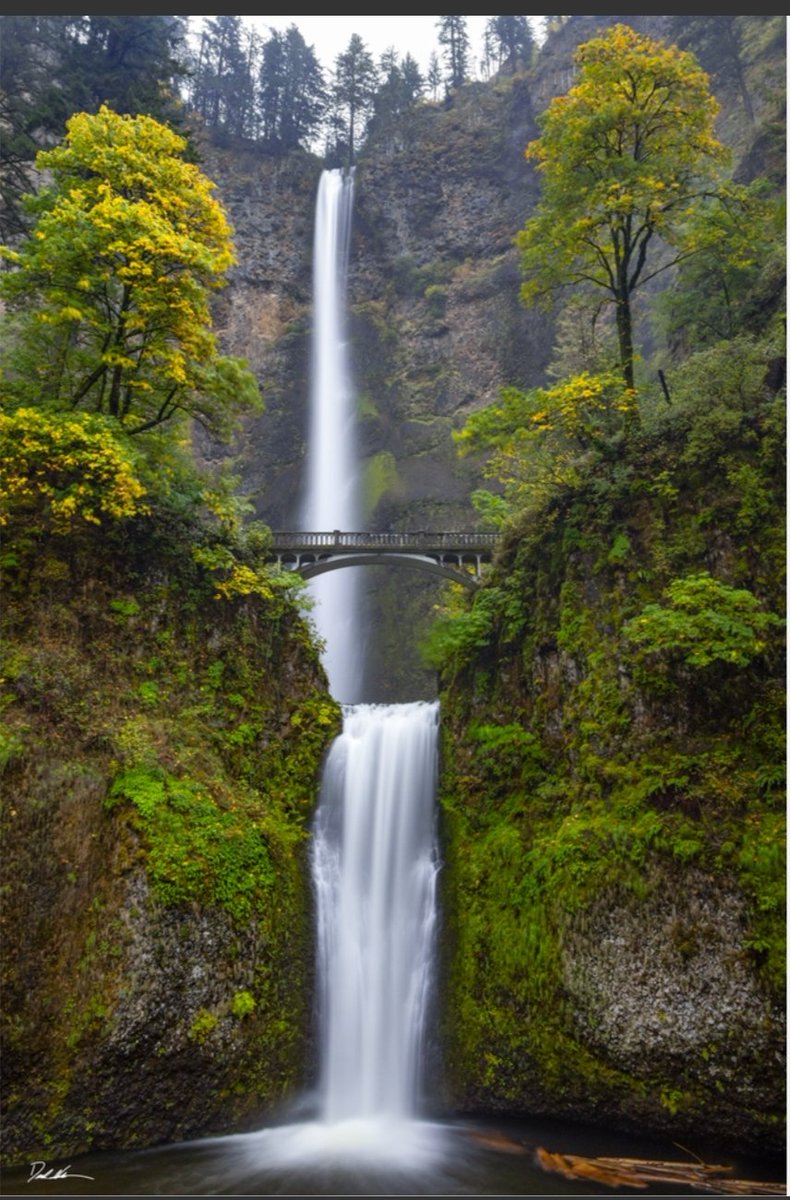 VishalP26498's tweet image. ✨ #Nature