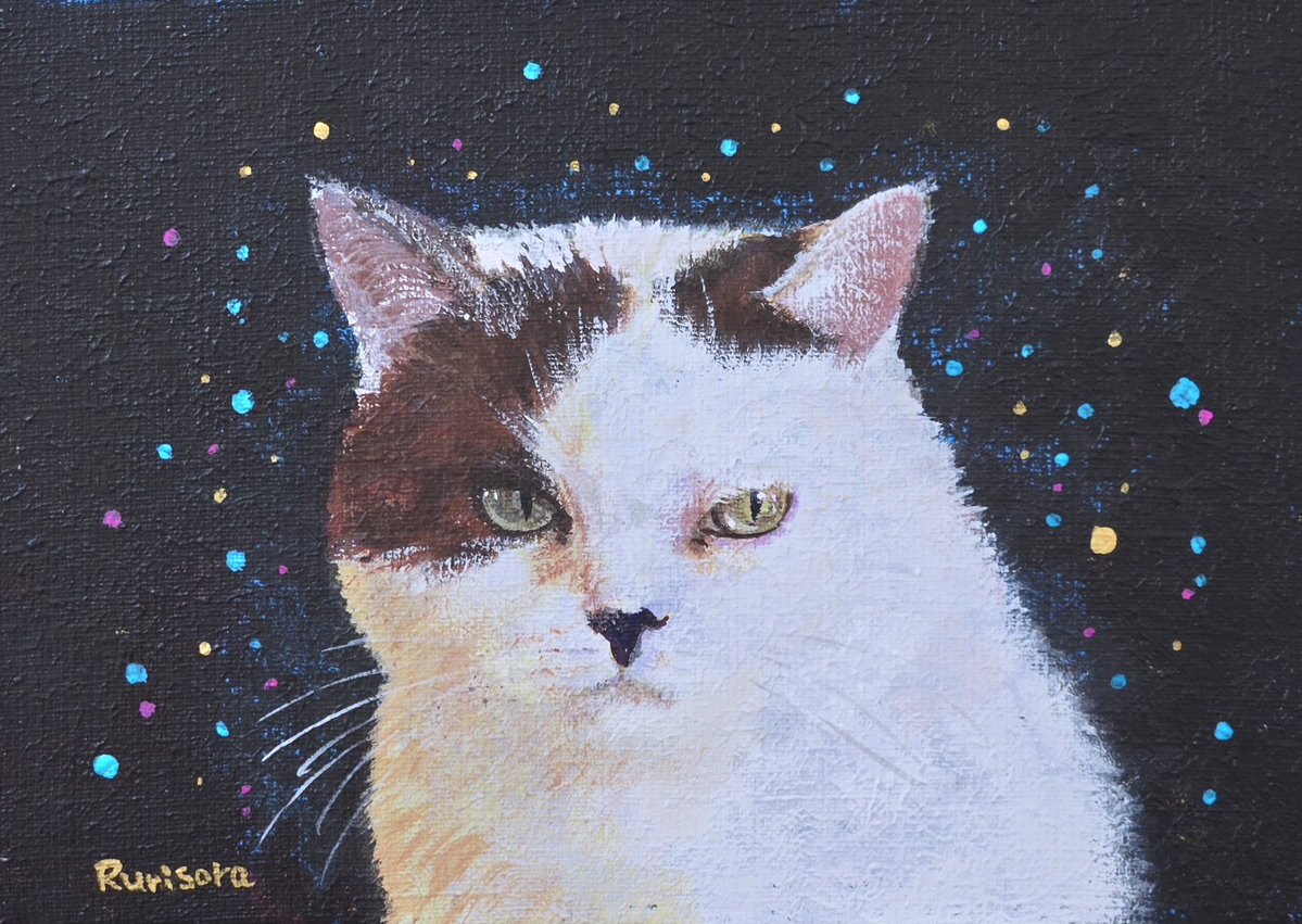 ｢無愛想猫｣　SMキャンバス　アクリル
２０２５年作

アートメーターで販売中です🐱
art-meter.com/works/AW176234

#アートメーター　#artmeter #Artmeter