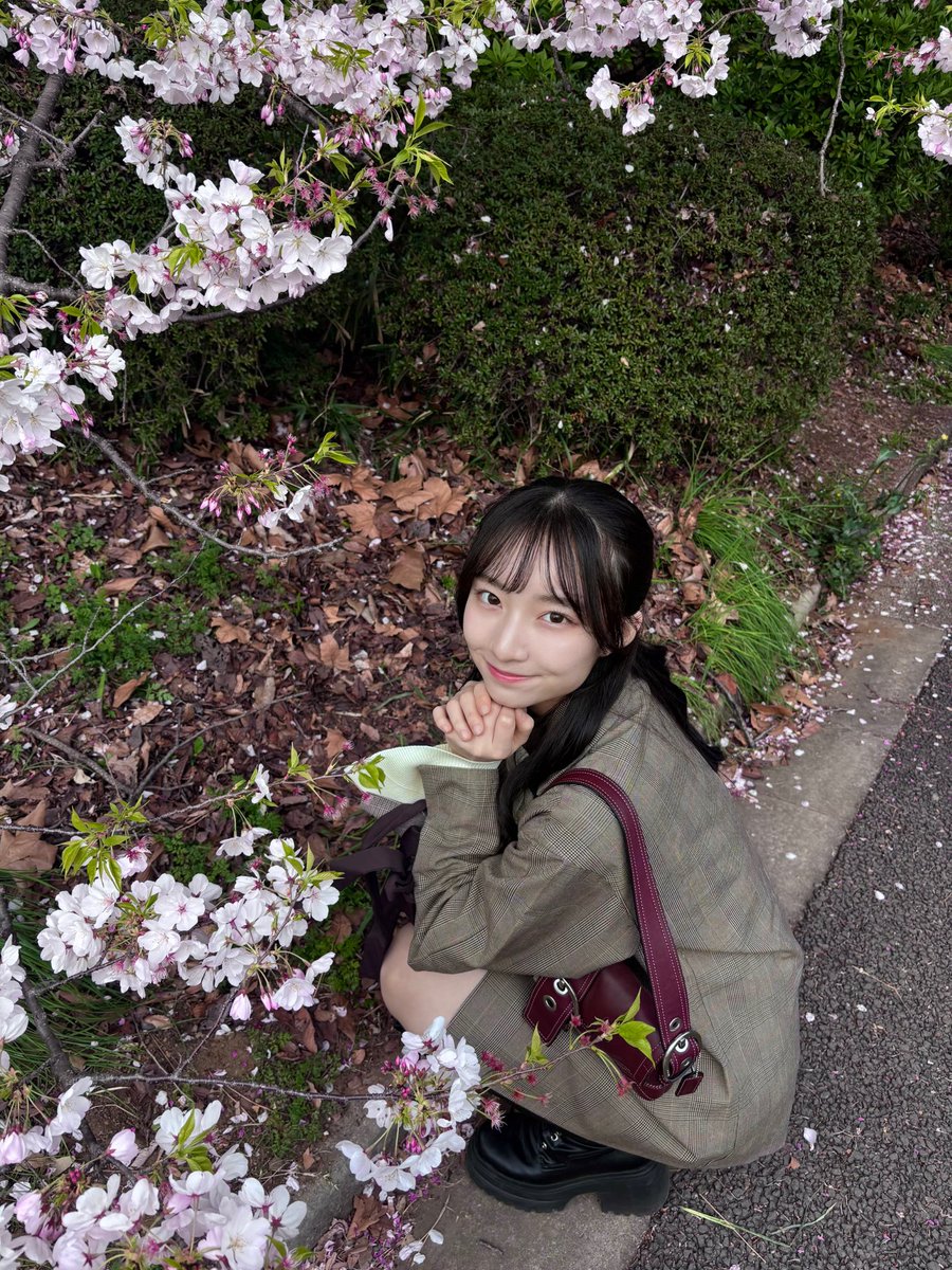 白鳥沙怜(AKB48) tweet media