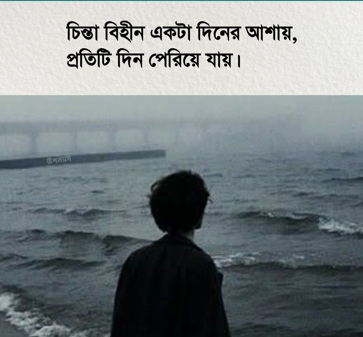 অনামিকা চৌধুরী tweet media