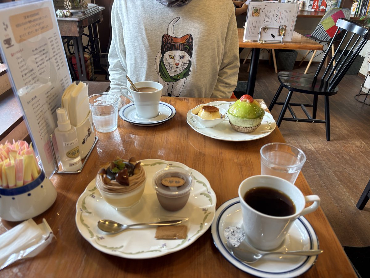 シダ植物 tweet media