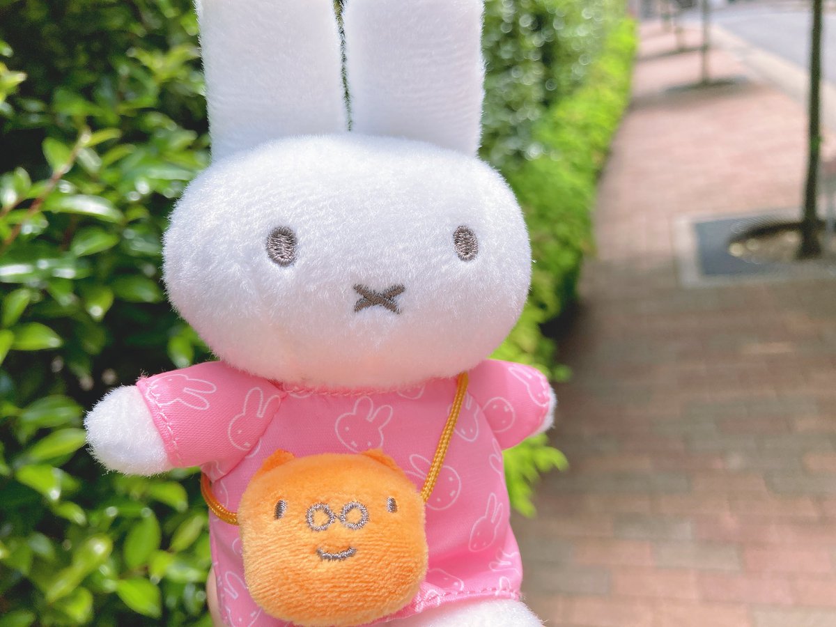みっふぃさんのおうち tweet media