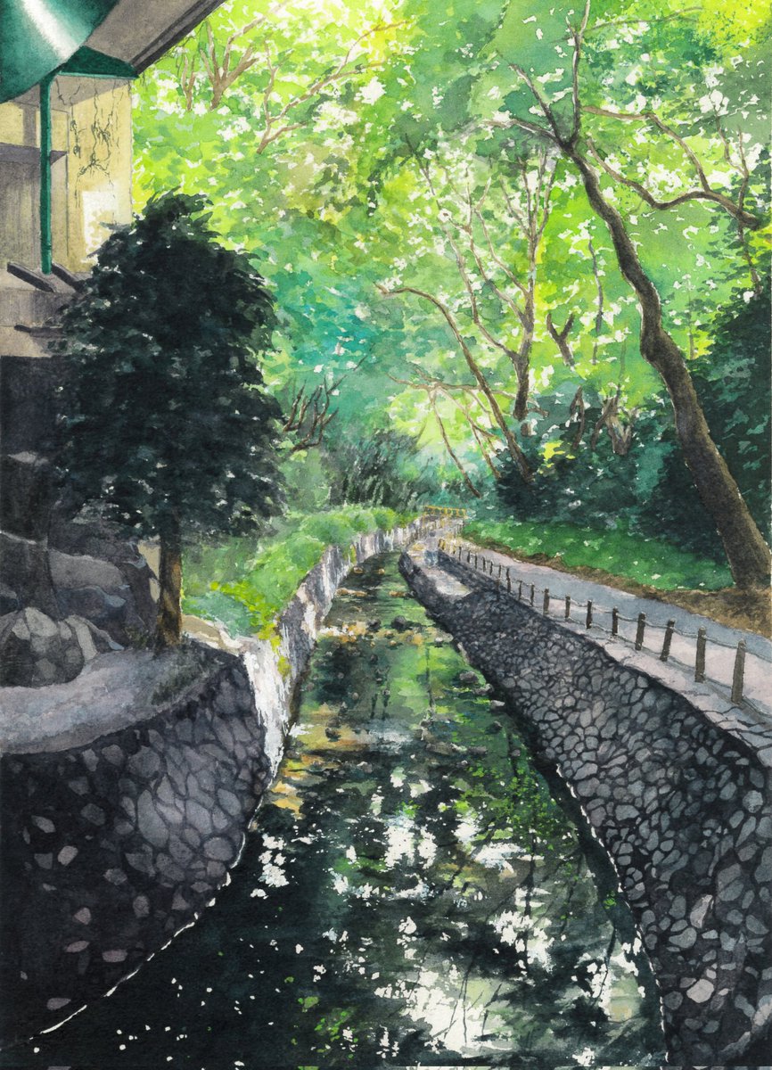 yuki_furasi's tweet photo. みどりの日なので、緑の絵を🌿等々力渓谷、しばらく閉鎖されてましたが、また散歩できるようになりましたね✨
#透明水彩 https://t.co/UH863CHqqe