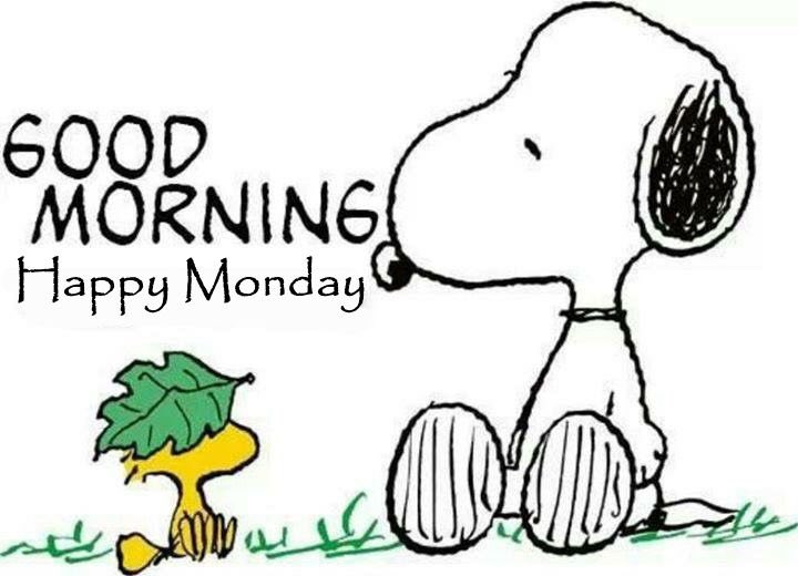 snoopy and friends tweet media