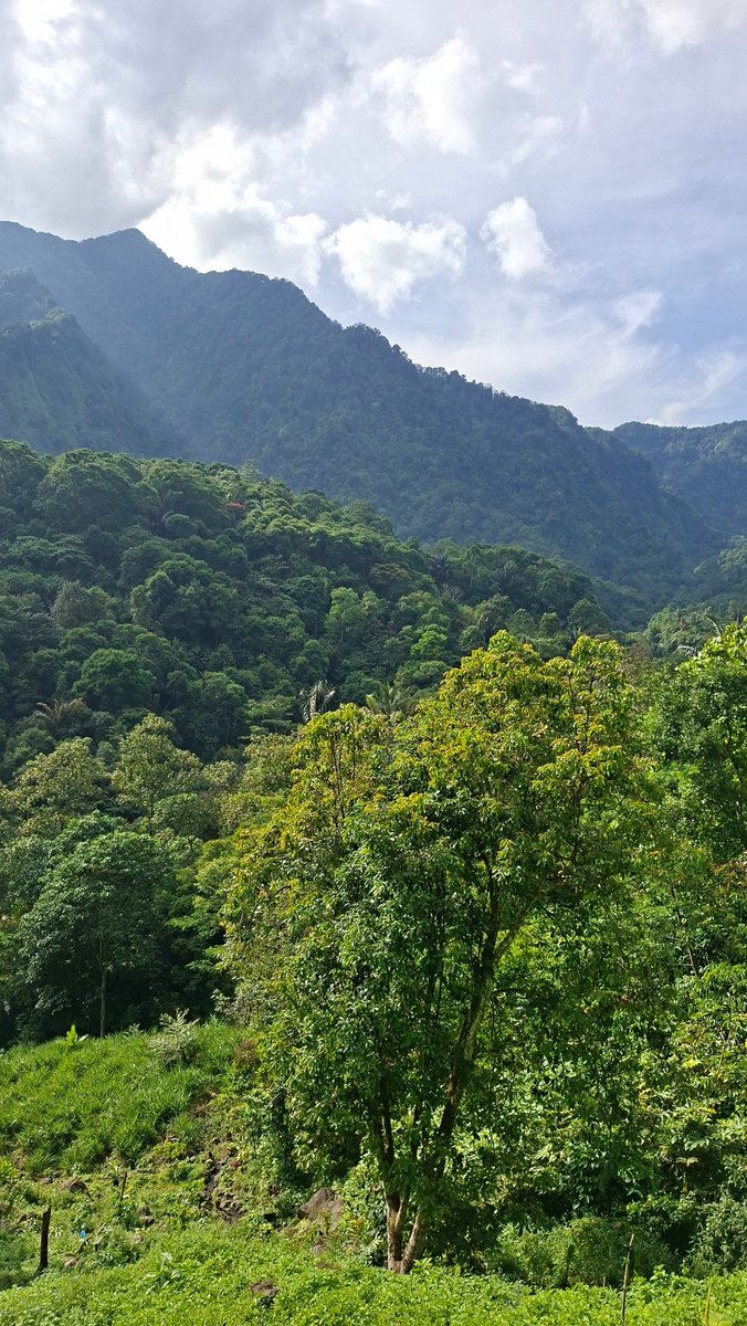 hachirost's tweet photo. maaa anakmu akhirnya main ke curug 😭 https://t.co/OV2SL53VJ2