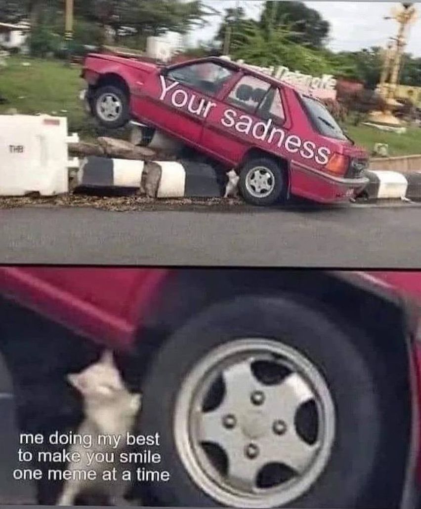 messed up cars tweet media