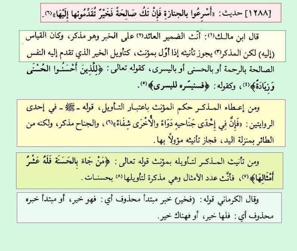بَقايا الظِّلِّ مِنْ رَكْبٍ رَحَل tweet media