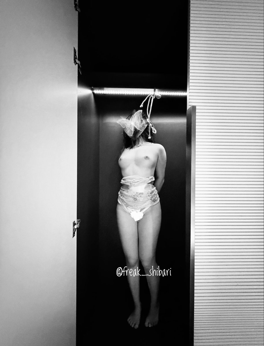 福瑞克Freak tweet media