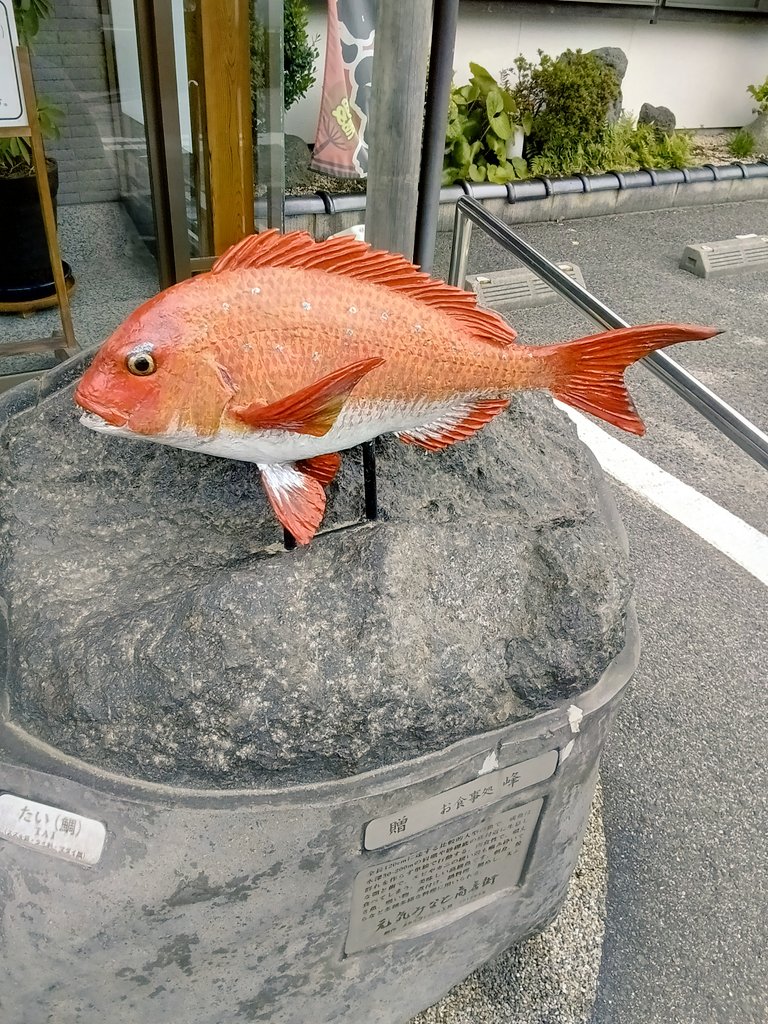 浜田圭亮 tweet media