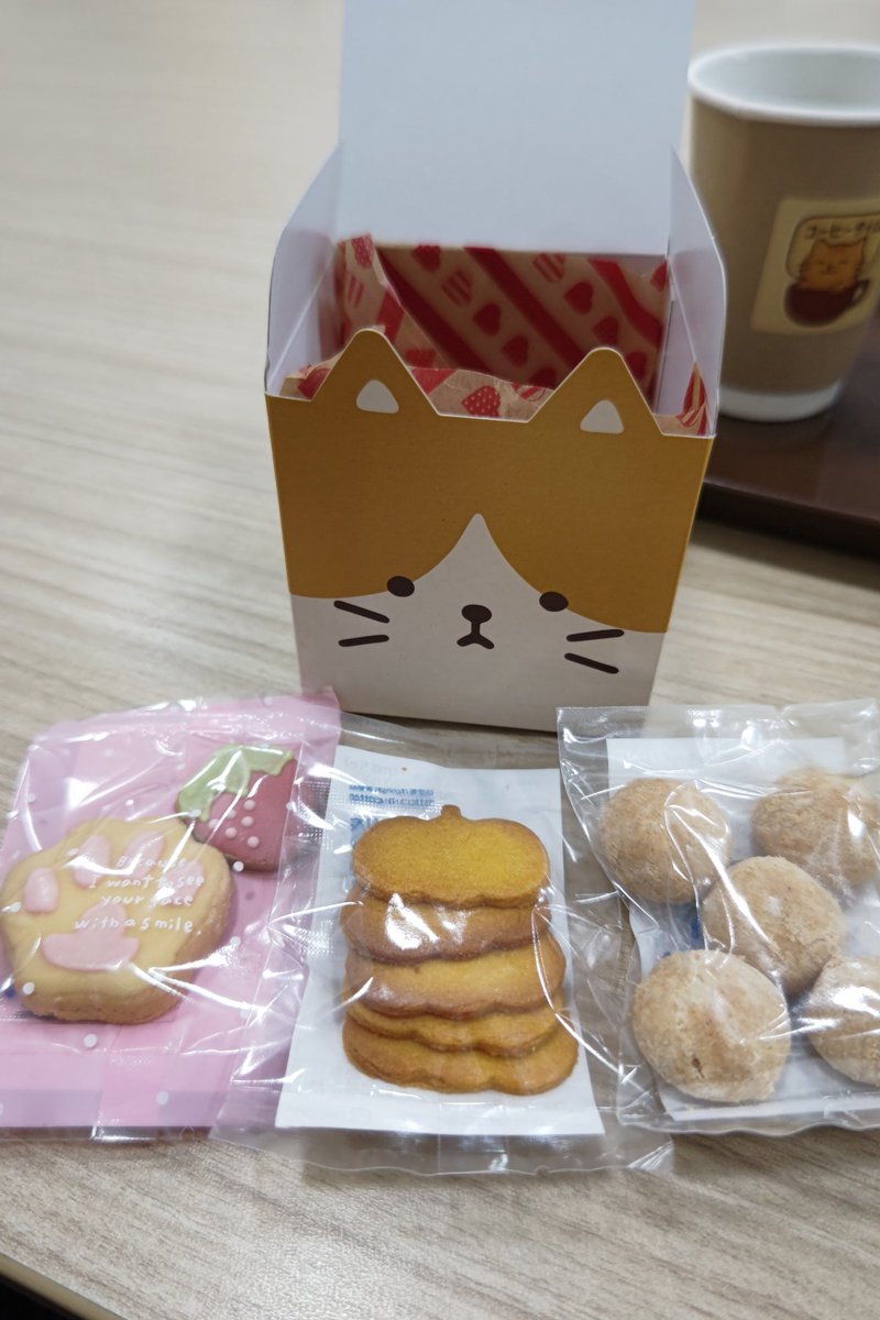 にゃんこパンダ tweet media