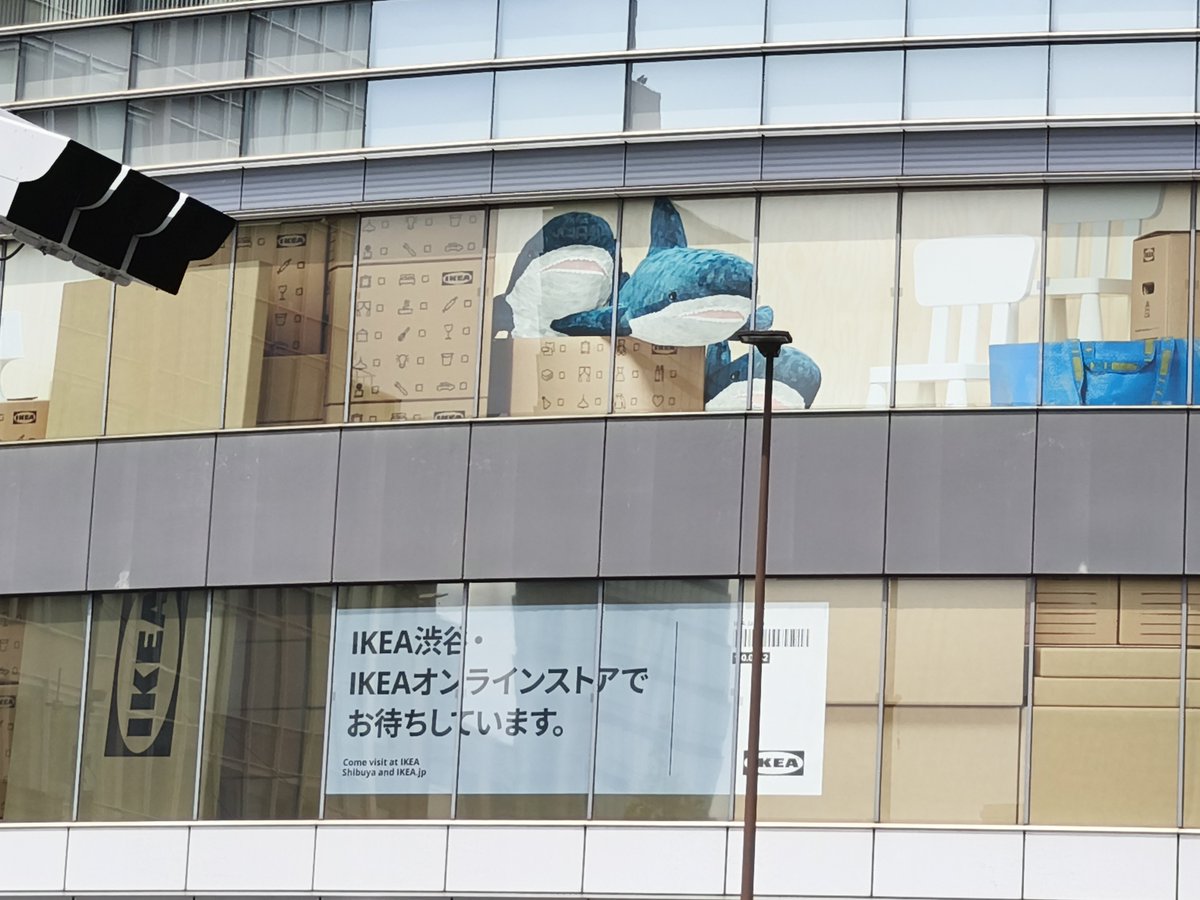 サメすけ tweet media