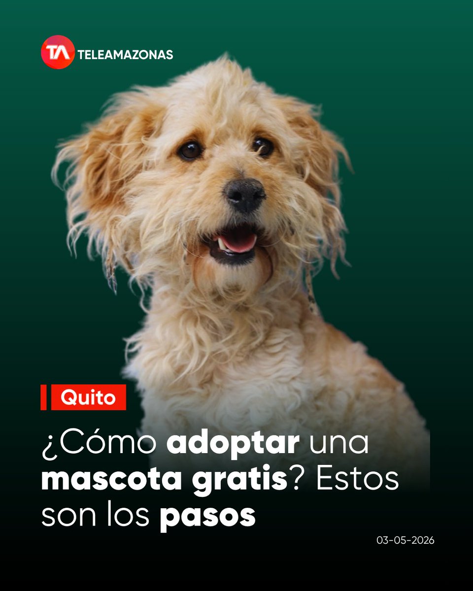 Teleamazonas tweet media