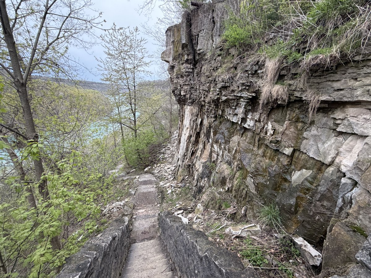 Discover Niagara Shuttle tweet media