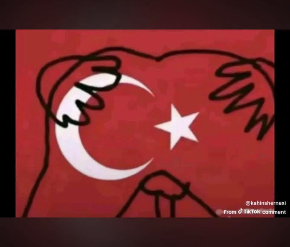 Botan tweet media