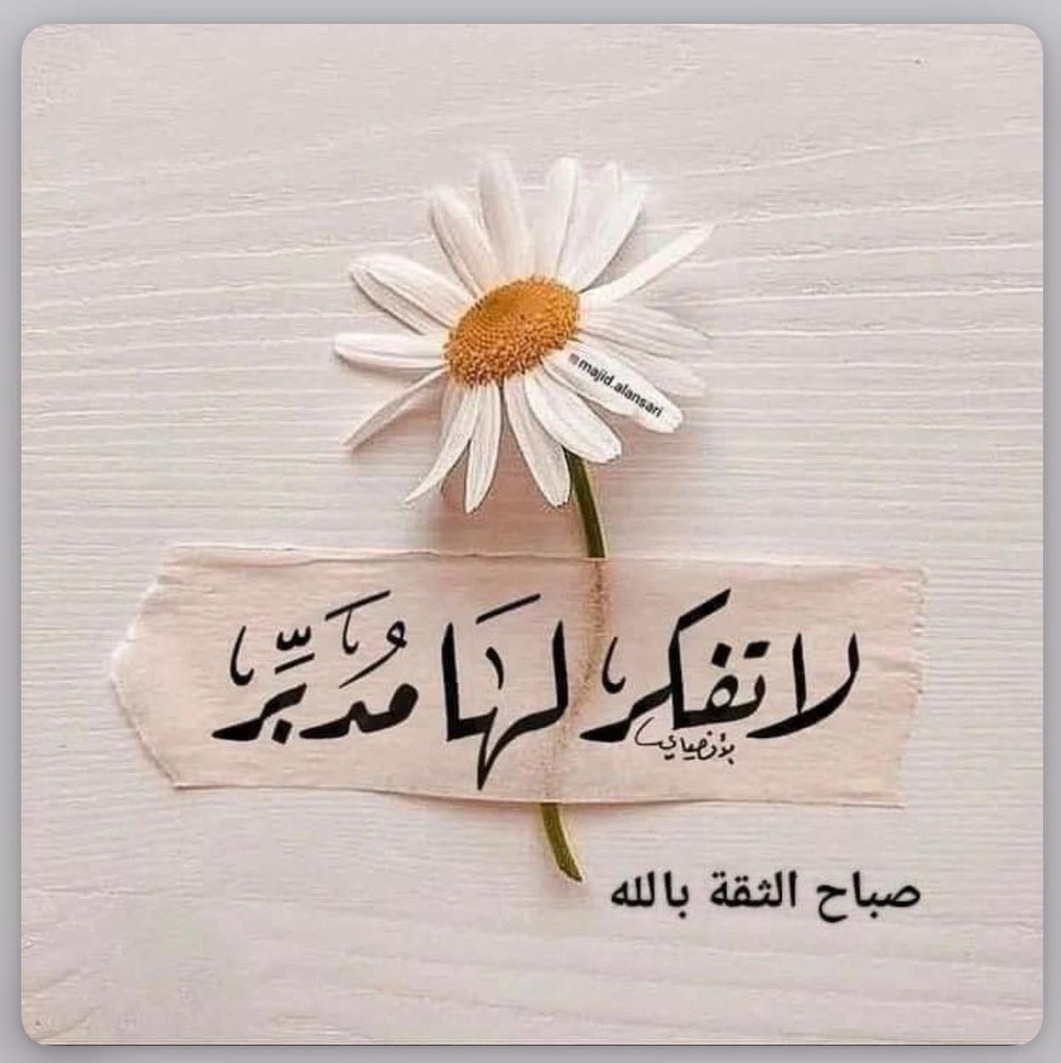 Nawal-AlMutawa tweet media