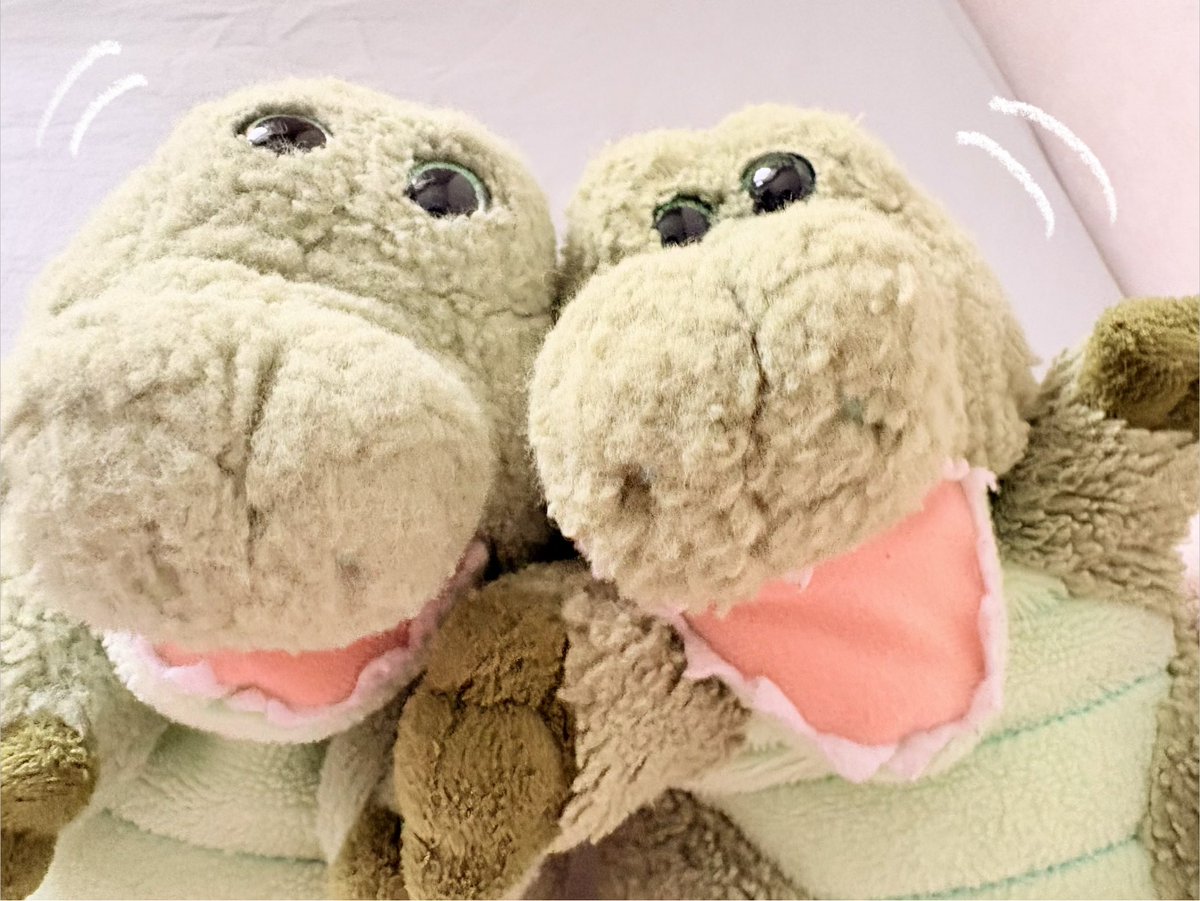 たたたた🐊ワーリーとビブ tweet media